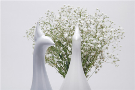 韩国孔雀创意花瓶（Peako vase）